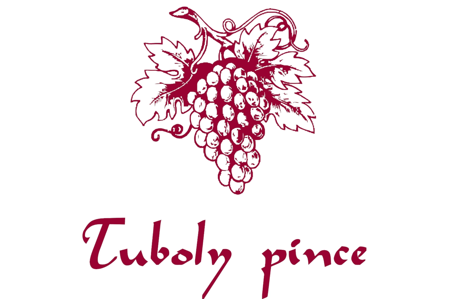 Tuboly pince Logo